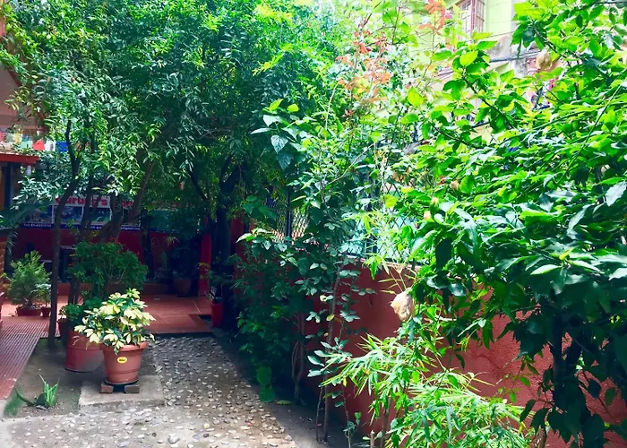 Couette-café Gurung's 3*